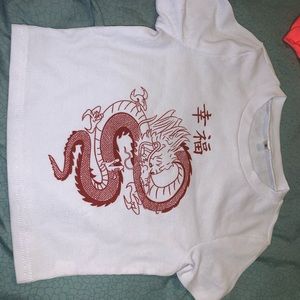 red dragon crop top